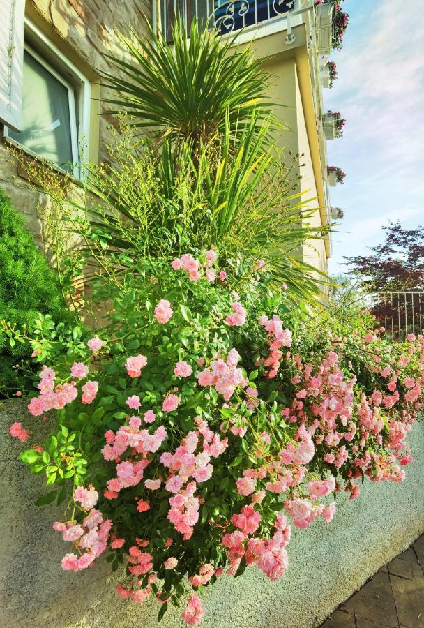 Guesthouse Olei Малинска Экстерьер фото